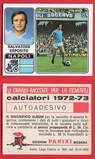 FIGURINA CALCIATORI PANINI
