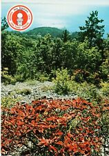 plt 32 - LISTA PER TRIESTE - Zona Franca Integrale - Cartolina non VG