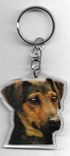 Jagd terrier chien porte - jagd, cles