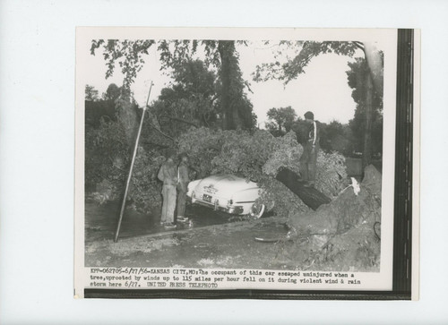 Foto stampa epoca trio - stampa, d'epoca