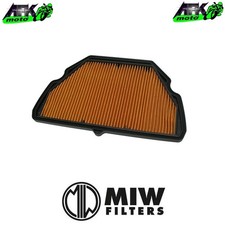 Filtro Aria di Aspirazione MIW