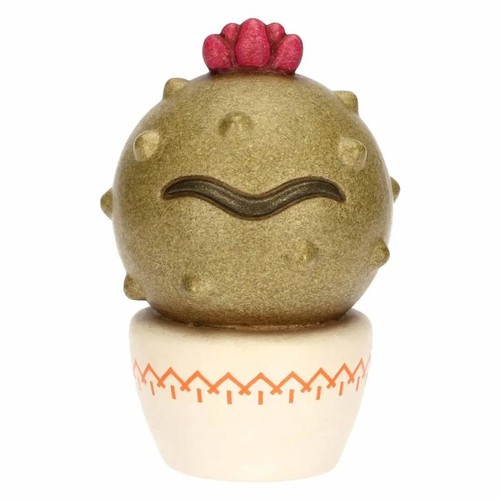 Vasetto thun pianta cactus per - cactus,