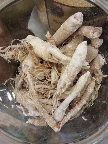 Radice ginseng biologico - radice, di