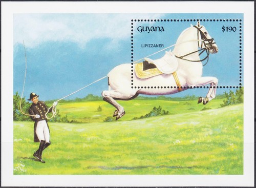 Guyana 1992 cavallo lipizzano - 1992,