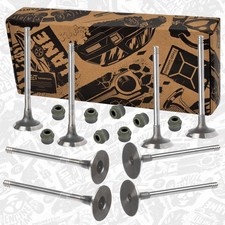 Valve kit inlet/exhaust valve