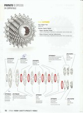 PIGNONI SHIMANO 10 VELOCITA