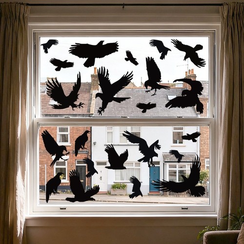 Finestra flock uccellino nero - finestra,