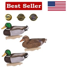 Confezione 6 Esche Storm Front