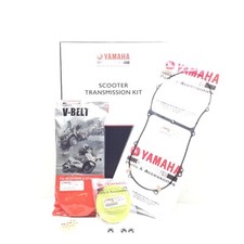 kit tagliando variatore