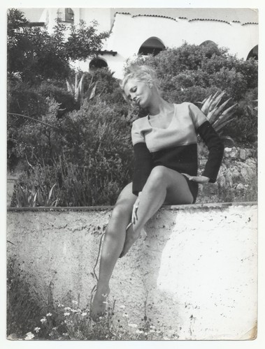 Scilla gabel foto stampa - scilla,
