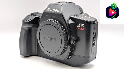 Quasi come nuovo canon - 【quasi, nuovo+】canon