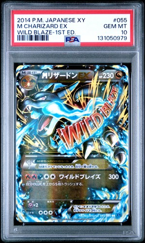 2014 pokemon giapponese - 2014,