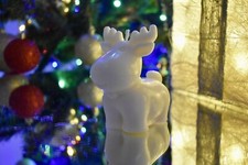 Candela Rena in cera di soia