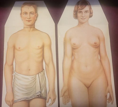 Carta riferimento medica - carta, di