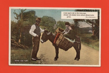 Irlanda - Passeggiata A Cavallo Asino - Eva Brennan (Rif. I 9579)