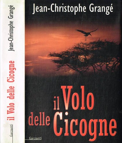 Volo delle cicogne - volo,