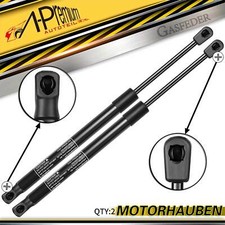 2x Molle a Gas Ammortizzatore