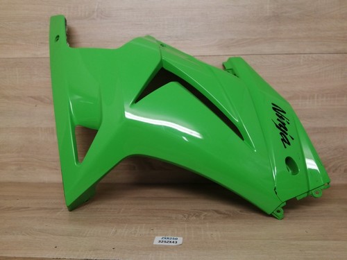 Kawasaki 2009 zxr250 carena - zxr250,
