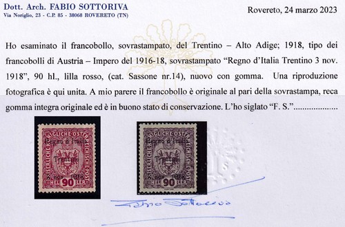 A597 trentino h lilla - trentino, –