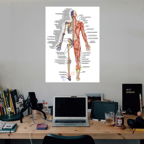 Diagramma corpo umano scienza - corpo,