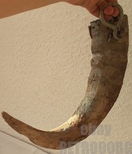 ANTICO GRASSO CONTENITORE CATRAME PRIMITIVO PER CARRO BUOI CORNO ..... (e)