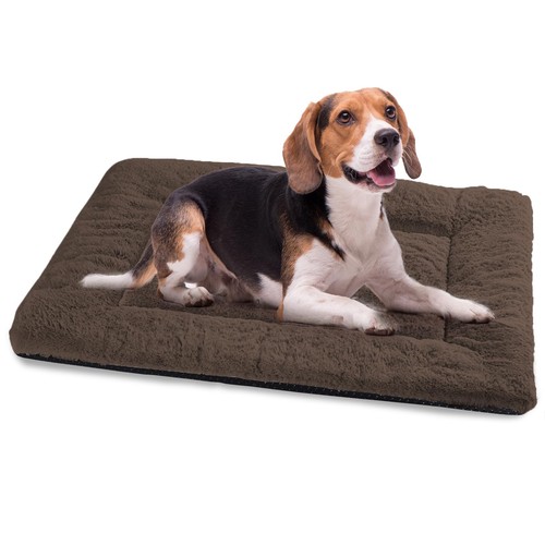 Cuccia cane interno taglia - cane,