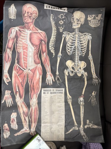 Poster vintage francese