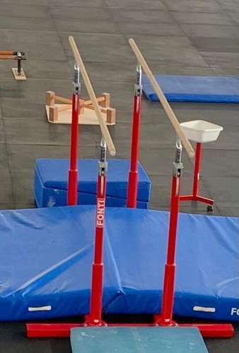 Parallele ginnastica artistica - ginnastica,