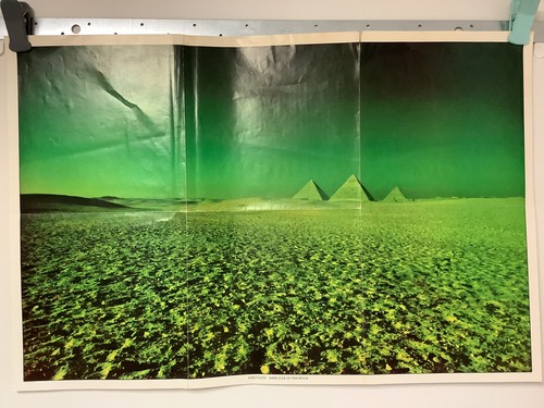 Poster pink floyd - pink, side