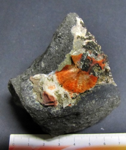 Minerali cristalli di - minerali,