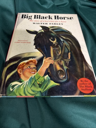 Big black horse - horse, schuyler