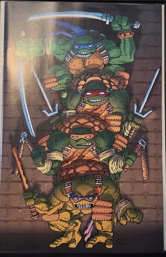 Teenage mutant ninja turtles - ninja,