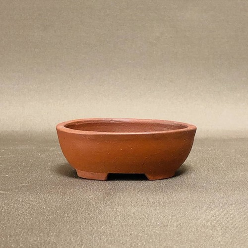 Vaso per bonsai - , giapponese