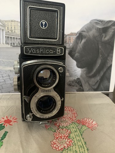 Yashica biottica 6x6 - biottica,