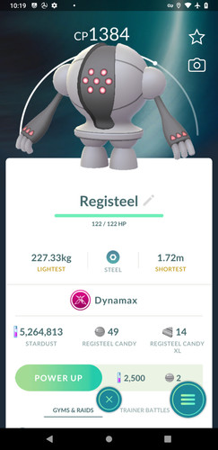 Dynamax registeel polvere di - dynamax,
