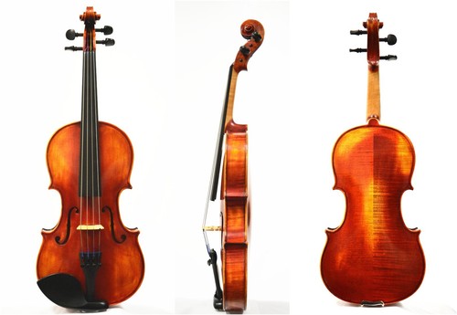Vecchia viola abete - viola, in