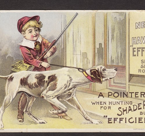 Antico 1893 puntatore - antico,