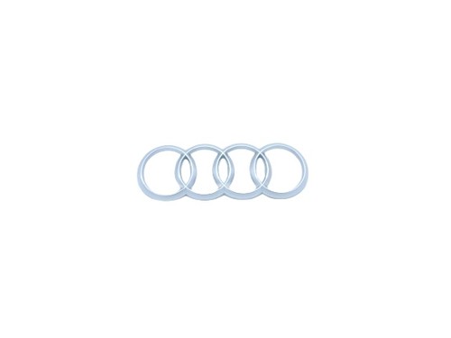 Targa aziendale logo anelli