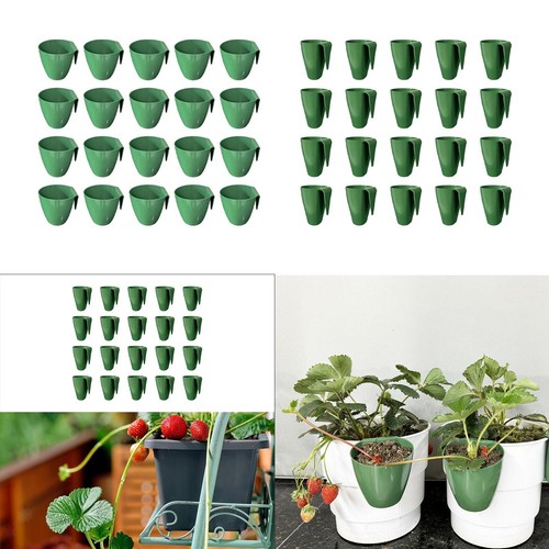 Pezzi vaso per - 20, piantine