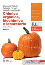 9788808899675 CHIMICA ORGANICA, BIOCHIMICA E LABORATOR ZANICHELLI MARIA TERESA G
