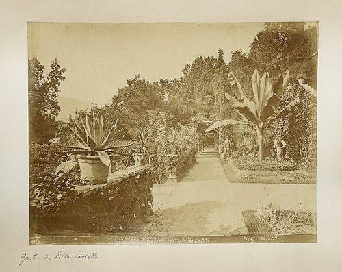 Bosetti tremezzo lugo - -,