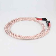 Coppia Spina RCA Placcata Oro