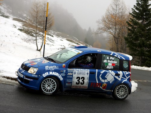 Fiat panda rally - poster, auto