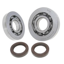 Kit Cuscinetti + Paraoli Albero Motore Gilera 125 180 Runner FX FXR 2T