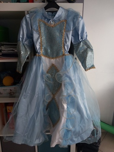Costume carnevale cenerentola - carnevale,