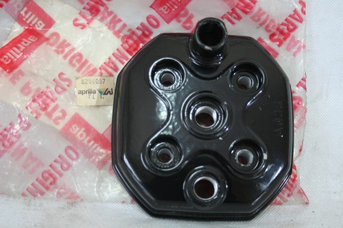 Testa cilindro cylinder - testa, head
