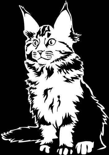 Adesivo maine coon - maine, sticker