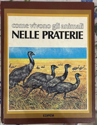Come vivono gli - animali, nelle