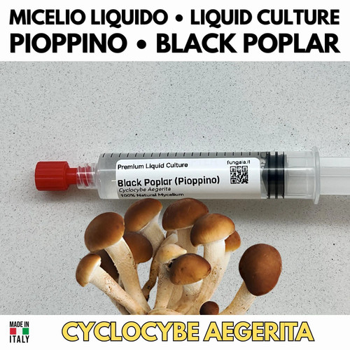 Coltura liquida pioppino - coltura, 10ml