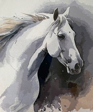 Quadro Cavallo Bianco con